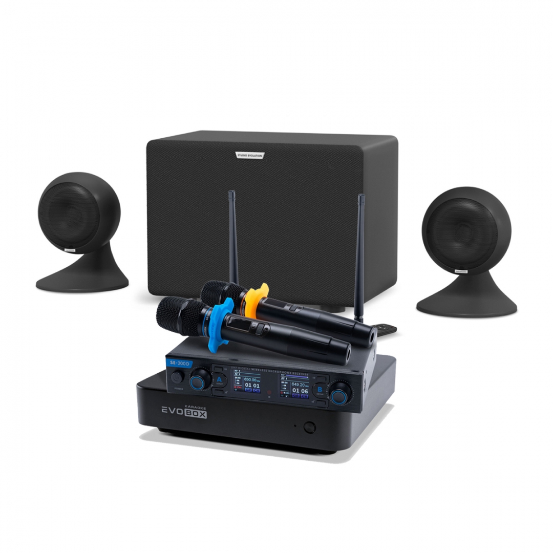 караоке-комплект EVOBOX + EvoSound Sphere 2.1 в Кировской области