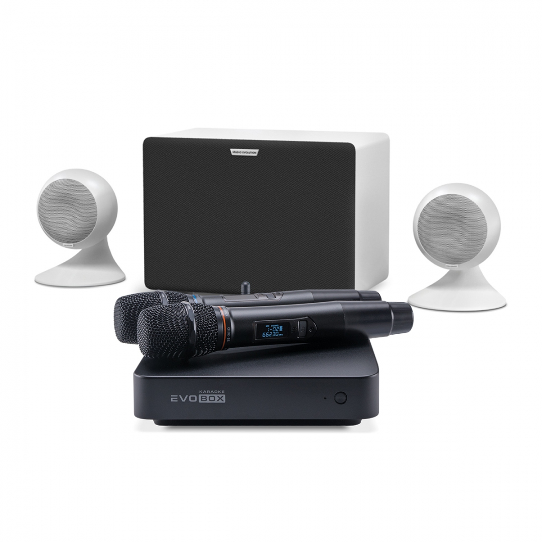 караоке-комплект EVOBOX Classic + EvoSound Sphere 2.1 в Кировской области