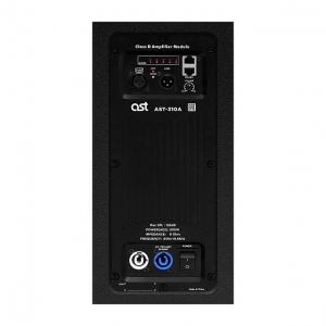 Активная акустическая система AST-310A в Кировской области