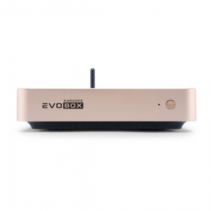 EVOBOX Plus караоке-система для дома в Кировской области