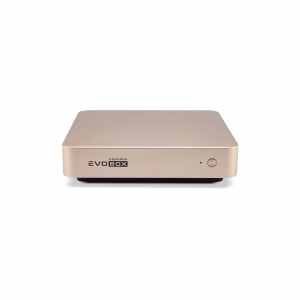 EVOBOX с микрофонами в Кировской области